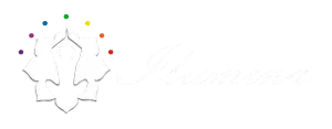 IIumina-logo-web